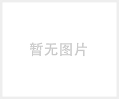 HWP02-10S固体燃烧速率试验仪(二合一)